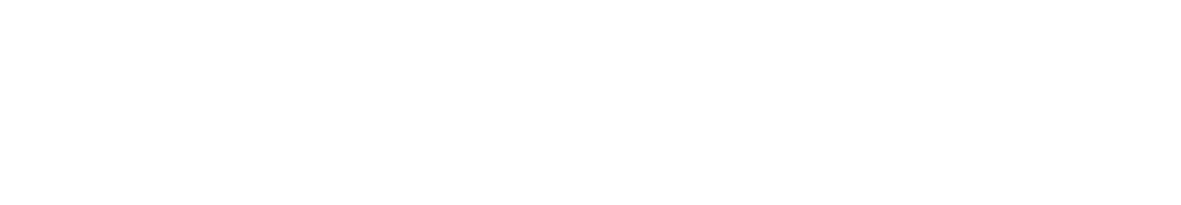 davision-logo2